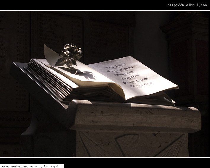 nice_pic_design_photo_86_1_