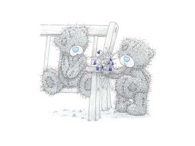 grey-bear-love-1_1_
