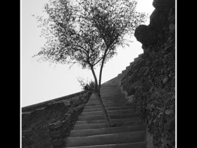 صور من ابداع اعضاء عمان فوتو