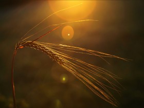 صور منوعة من الإنترنت