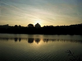 صور منوعة من الإنترنت