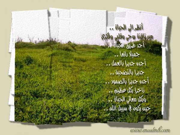 الحياة