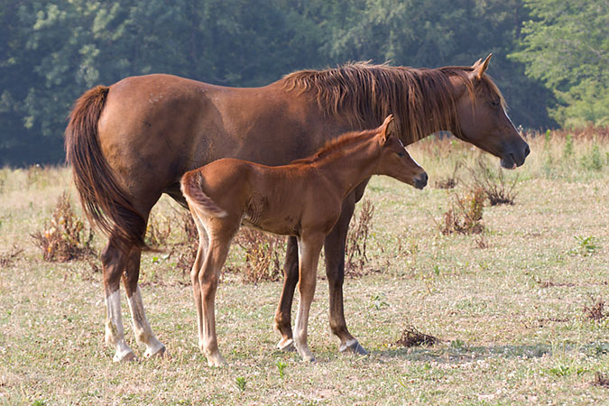 1554671-f06900e9b8055bc5_1_