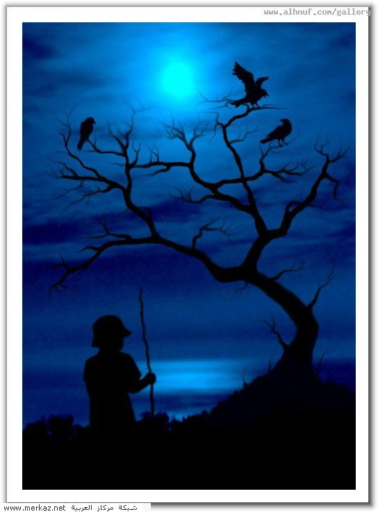 nice_pic_design_photo_61_1_