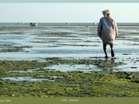 صور من ابداع اعضاء عمان فوتو