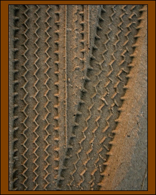 صور من ابداع اعضاء عمان فوتو