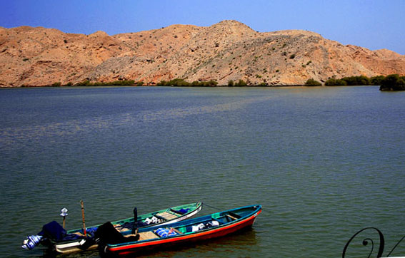 صور من ابداع اعضاء عمان فوتو