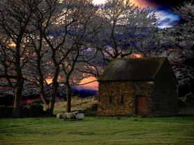 صور منوعة من الإنترنت