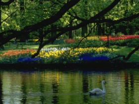 SPRING