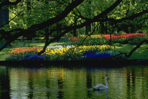 SPRING