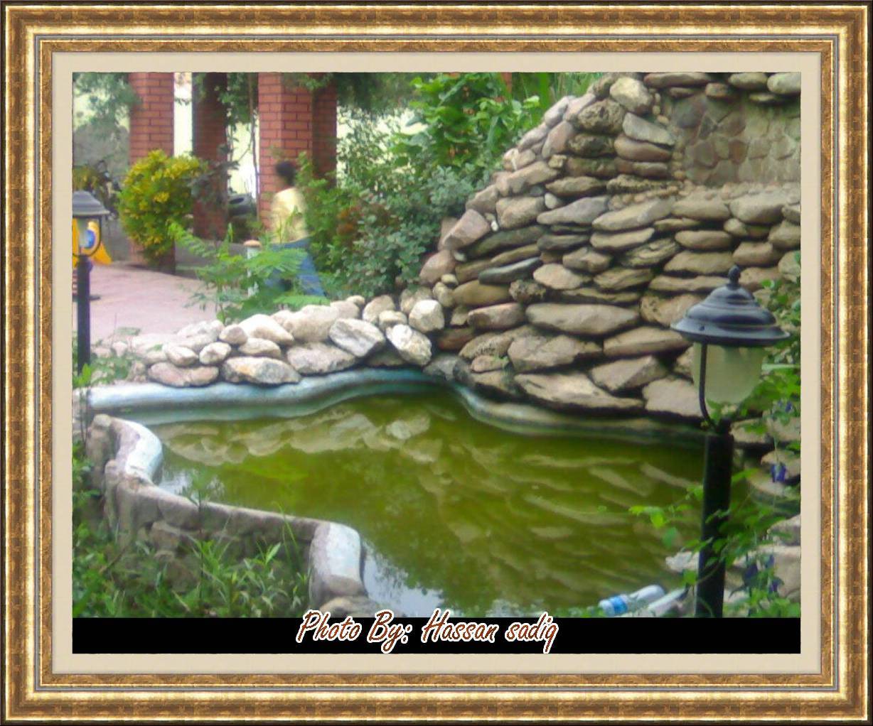 صور من ابداع اعضاء عمان فوتو