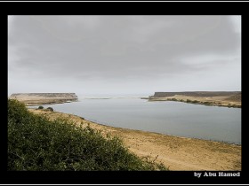 صور من ابداع اعضاء عمان فوتو