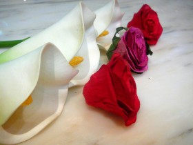 صور من ابداع اعضاء عمان فوتو