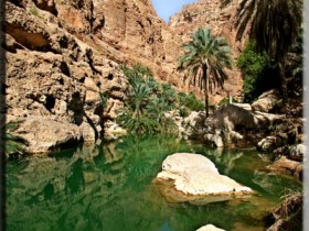 صور من ابداع اعضاء عمان فوتو