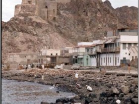 wm normal oman1 page 05