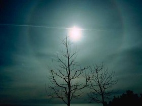 w6w2006042901311439bf36e2_1_