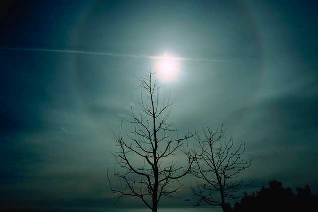 w6w2006042901311439bf36e2_1_