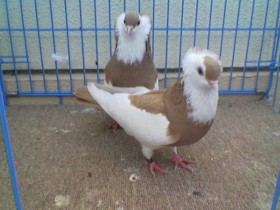 w6w_20050523205041d33fc35d_1_