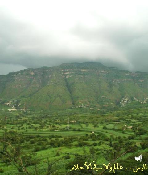 nabanews%20yemen[1]