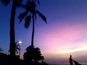 20100911298