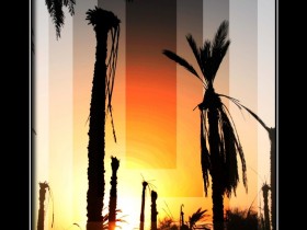 صور من ابداع اعضاء عمان فوتو