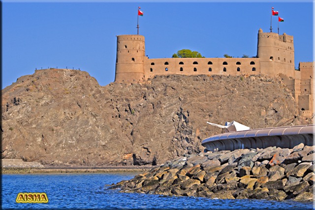 صور من ابداع اعضاء عمان فوتو