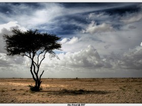 صور من ابداع اعضاء عمان فوتو