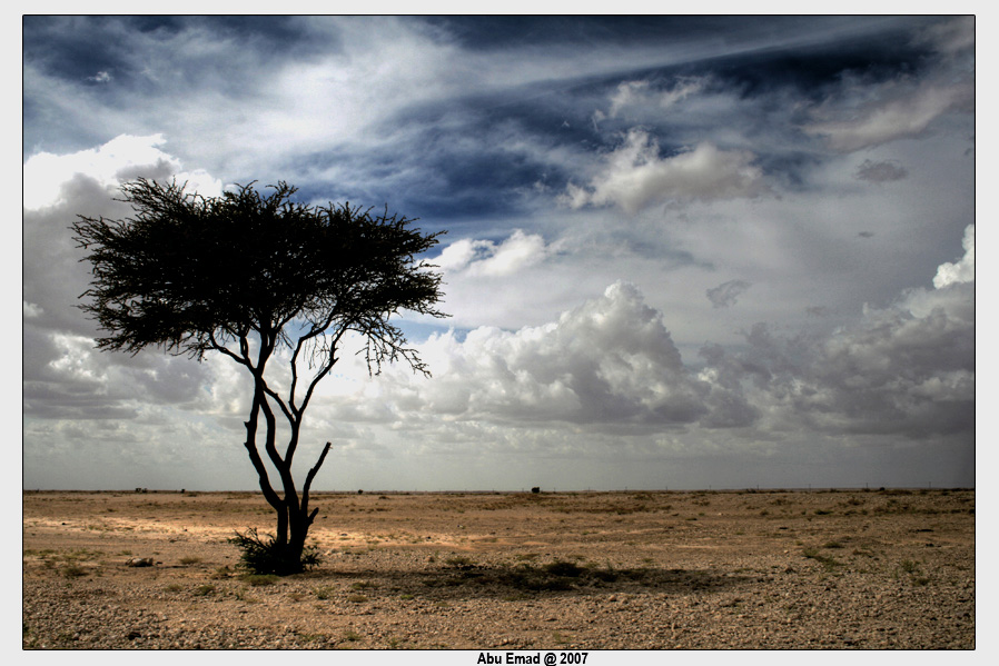 صور من ابداع اعضاء عمان فوتو