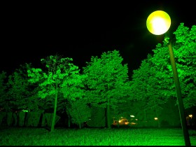 1526681-b9a82cb6b2c9142b_1_