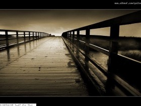 nice_pic_design_photo_81_1_