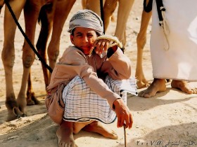صور من ابداع اعضاء عمان فوتو