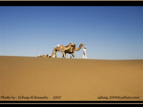 صور من ابداع اعضاء عمان فوتو