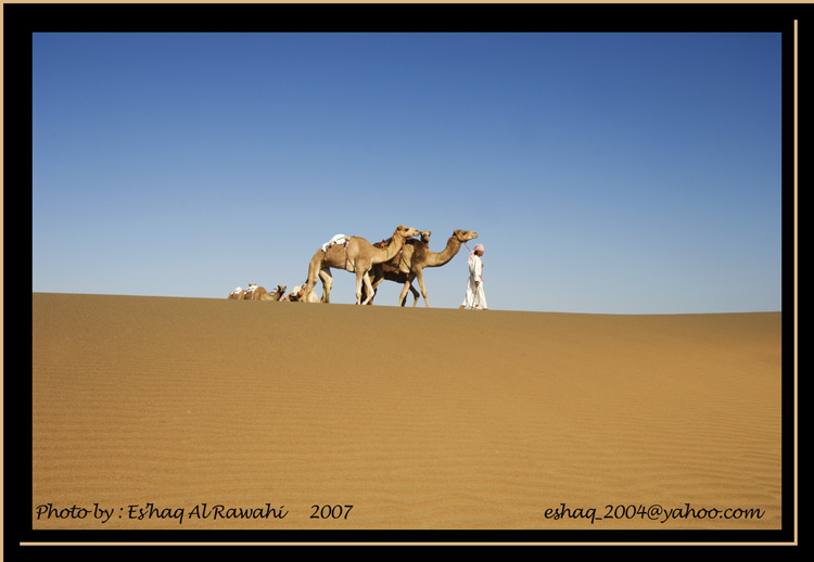 صور من ابداع اعضاء عمان فوتو