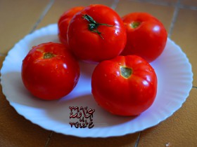 صور من ابداع اعضاء عمان فوتو