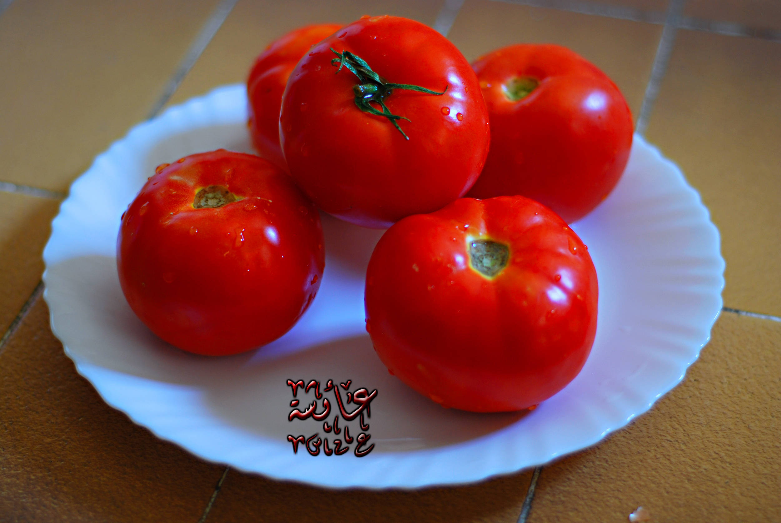 صور من ابداع اعضاء عمان فوتو