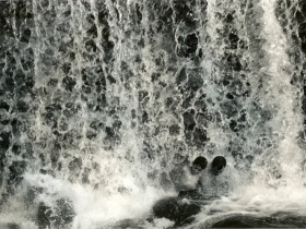 صور من ابداع اعضاء عمان فوتو
