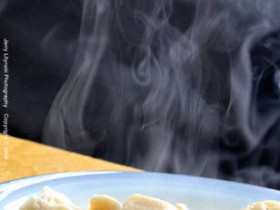 صور منوعة من الإنترنت