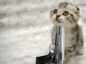 kitten_die
