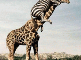 33470_mb_file_18eba_1_