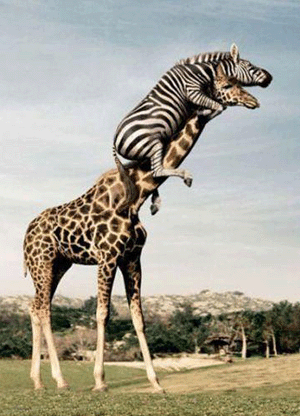 33470_mb_file_18eba_1_