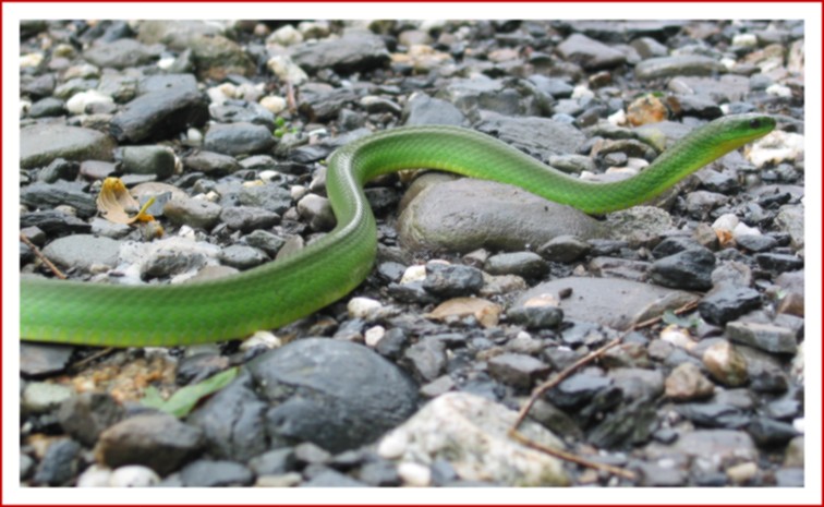 1436092-707c43fd52cc7c88_1_