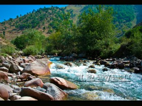 صور من ابداع اعضاء عمان فوتو