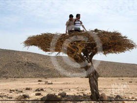 صور من ابداع اعضاء عمان فوتو