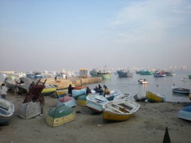 صور منوعة من الإنترنت