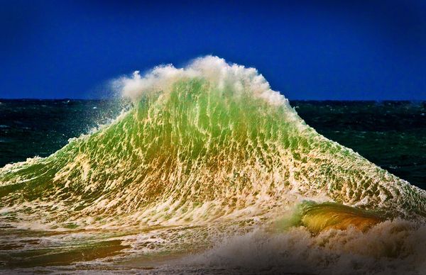 environmental photographer year 2010 wave 26730 600x450