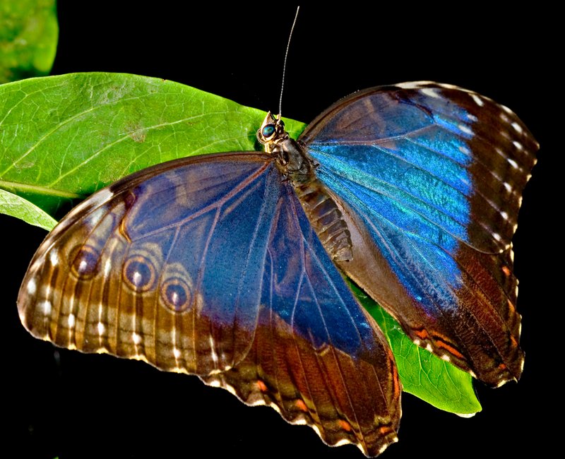 1486871-b5ebf8aa5f7c657b