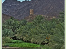 صور من ابداع اعضاء عمان فوتو