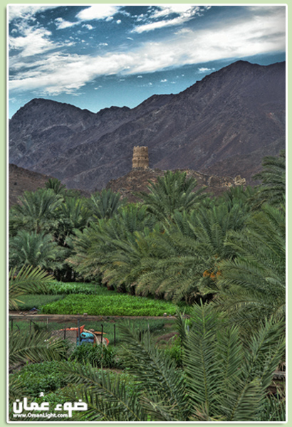 صور من ابداع اعضاء عمان فوتو