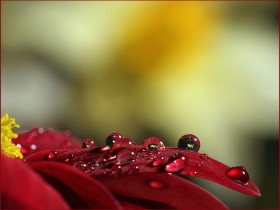 صور منوعة من الإنترنت