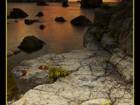 1600200-23a9f2ae3099bfdb_2_